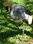2010-03-16_14-55-39_IMGP6821.jpg