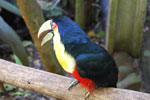 2010-03-16_14-58-46_DSC_6338.jpg