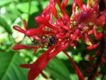2010-03-16_15-08-33_IMGP6831.jpg