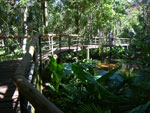 2010-03-16_15-10-14_IMGP6834.jpg