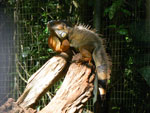 2010-03-16_15-17-37_IMGP6852.jpg