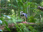 2010-03-16_15-22-39_IMGP6861.jpg