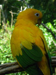 2010-03-16_15-33-50_IMGP6881.jpg