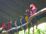 2010-03-16_15-48-35_IMGP6893.jpg