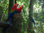 2010-03-16_15-49-07_IMGP6895.jpg