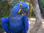 2010-03-16_15-50-53_IMGP6904.jpg