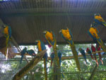 2010-03-16_15-51-34_IMGP6906.jpg
