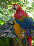 2010-03-16_15-52-29_IMGP6909.jpg