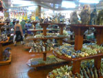 2010-03-16_15-56-25_IMGP6918.jpg