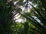 2010-03-18_16-58-14_IMGP7085.jpg