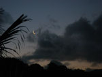 2010-03-18_18-56-30_IMGP7140.jpg