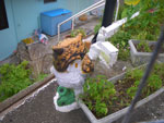 2010-03-20_17-00-18_IMGP7198.jpg