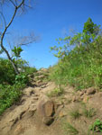 2010-03-22_14-52-13_IMGP7305.jpg