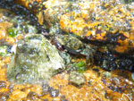 2010-03-22_15-05-36_IMGP7313.jpg
