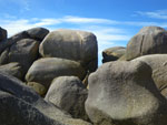 Photos