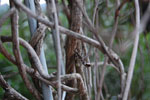 2010-03-23_18-14-23_DSC_6412.jpg