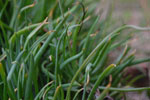 2010-03-23_18-14-49_DSC_6413.jpg