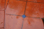 2010-03-24_10-55-49_DSC_6452.jpg