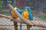 2010-03-25_14-06-17_DSC_6492.jpg