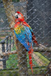 2010-03-25_14-07-26_DSC_6497.jpg