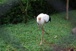 2010-03-25_14-12-16_DSC_6506.jpg