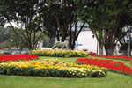 2010-03-25_14-32-42_DSC_6524.jpg