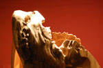 2010-03-25_15-51-50_DSC_6589.jpg