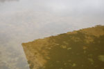 2010-03-25_15-59-25_DSC_6596.jpg