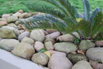 2010-03-25_16-21-26_DSC_6607.jpg