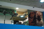 2010-03-27_16-18-29_DSC_6736.jpg