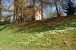 Photos
