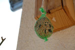 2010-04-08_10-47-04_DSC_7392.jpg