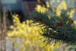 2010-04-08_10-47-32_DSC_7393.jpg