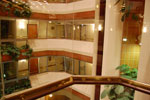 2010-04-11_23-37-39_DSC_7561.jpg