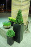 2010-04-11_23-38-20_DSC_7562.jpg