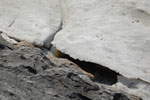 2010-04-12_14-08-44_DSC_7617.jpg