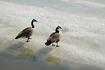 2010-04-12_14-12-25_DSC_7624.jpg