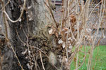 2010-04-15_18-30-11_DSC_7701.jpg