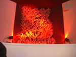 2010-04-16_19-46-12_CIMG9255.jpg
