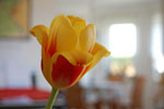 2010-04-17_18-03-38_DSC_7736.jpg