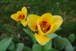 2010-04-19_17-25-08_DSC_7844.jpg