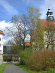 2010-04-22_12-41-56_CIMG9318.jpg