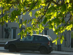 2010-04-23_17-31-28_CIMG9338.jpg