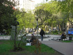 2010-04-28_16-43-04_CIMG9581.jpg