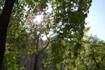 2010-05-01_16-30-54_DSC_7914.jpg
