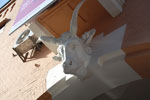 2010-05-01_17-08-20_DSC_7964.jpg