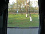 2010-05-03_06-33-24_CIMG9658.jpg