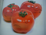 2010-05-04_19-07-04_CIMG9701.jpg