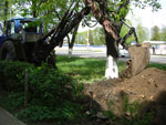 2010-05-05_14-24-51_CIMG9717.jpg