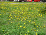 2010-05-06_14-21-38_CIMG9764.jpg